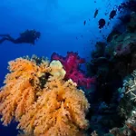 Club Paradisio El Gouna Red Sea
